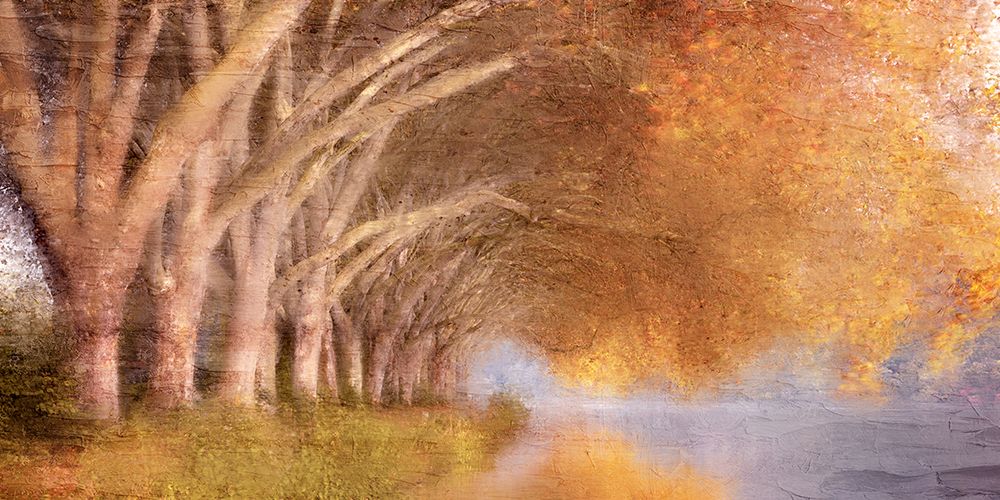 Quiet Autumn Pond art print by Kimberly Allen for $57.95 CAD
