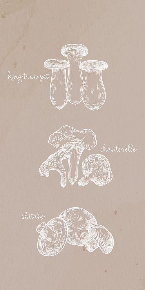 Mushrooms 1 art print by Kimberly Allen for $57.95 CAD