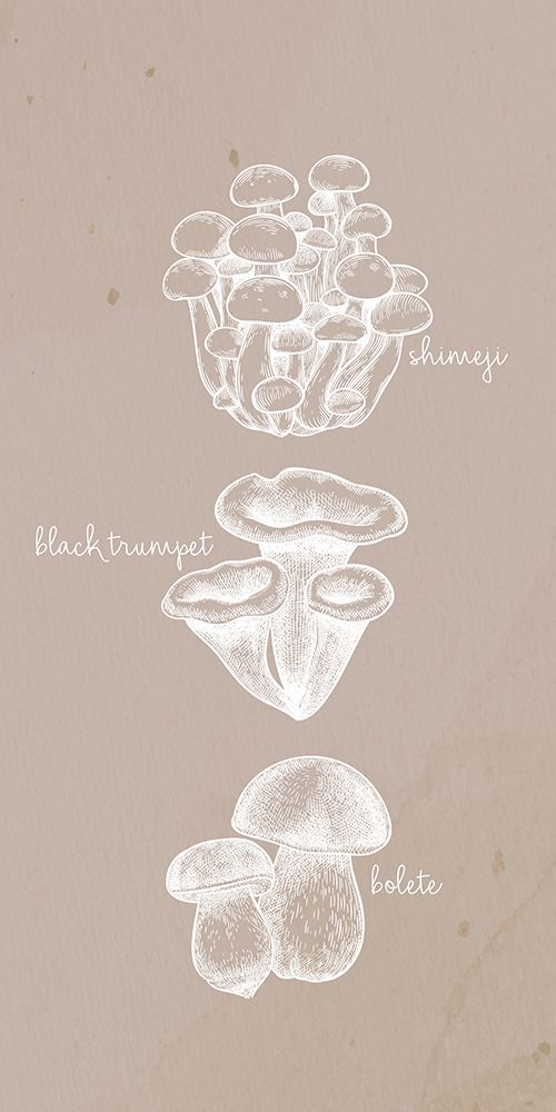 Mushrooms 2 art print by Kimberly Allen for $57.95 CAD