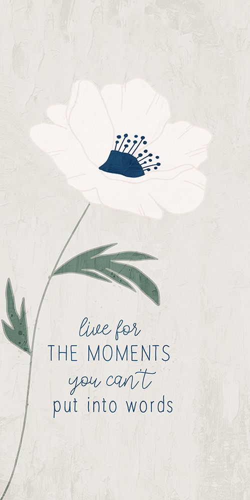Anemone Stems 3 art print by Kimberly Allen for $57.95 CAD
