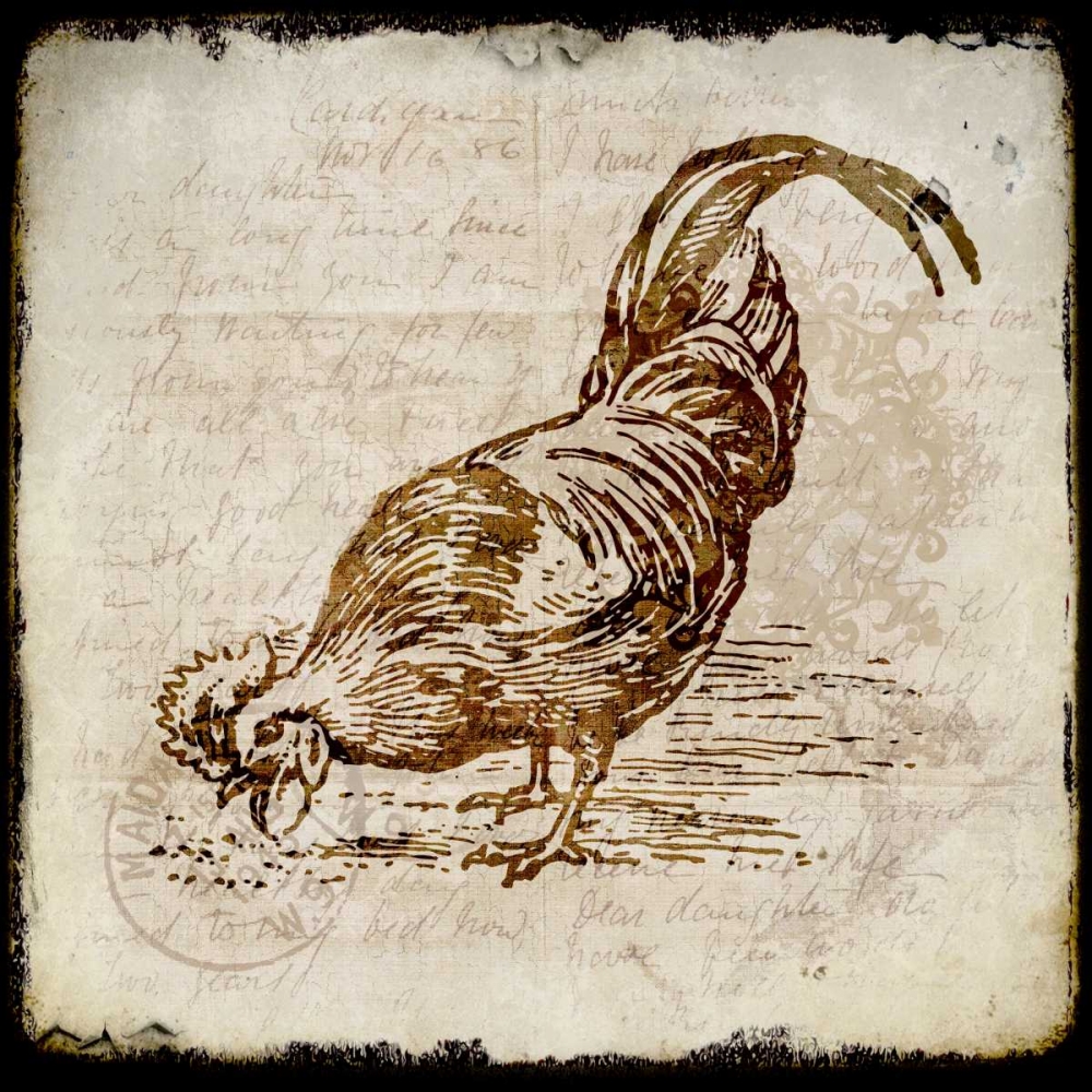 Vintage Rooster Square 3 art print by Kimberly Allen for $57.95 CAD