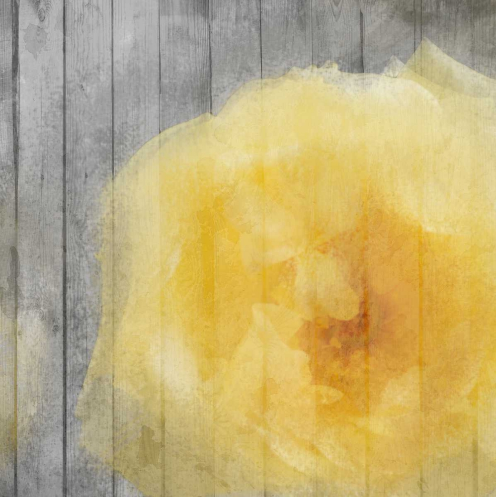 Yellow Bloom Simple art print by Kimberly Allen for $57.95 CAD