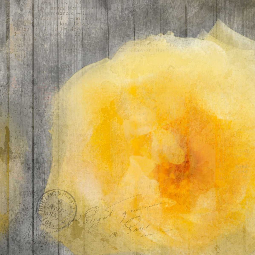 Yellow Bloom art print by Kimberly Allen for $57.95 CAD