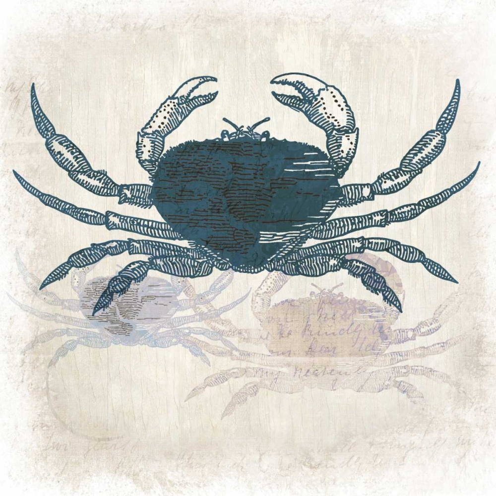 Crab Coast Vision art print by Kimberly Allen for $57.95 CAD