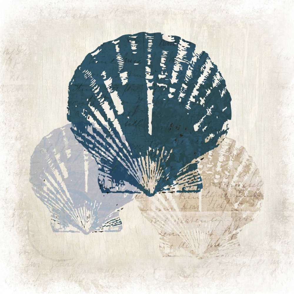 Shell Coast Vision art print by Kimberly Allen for $57.95 CAD