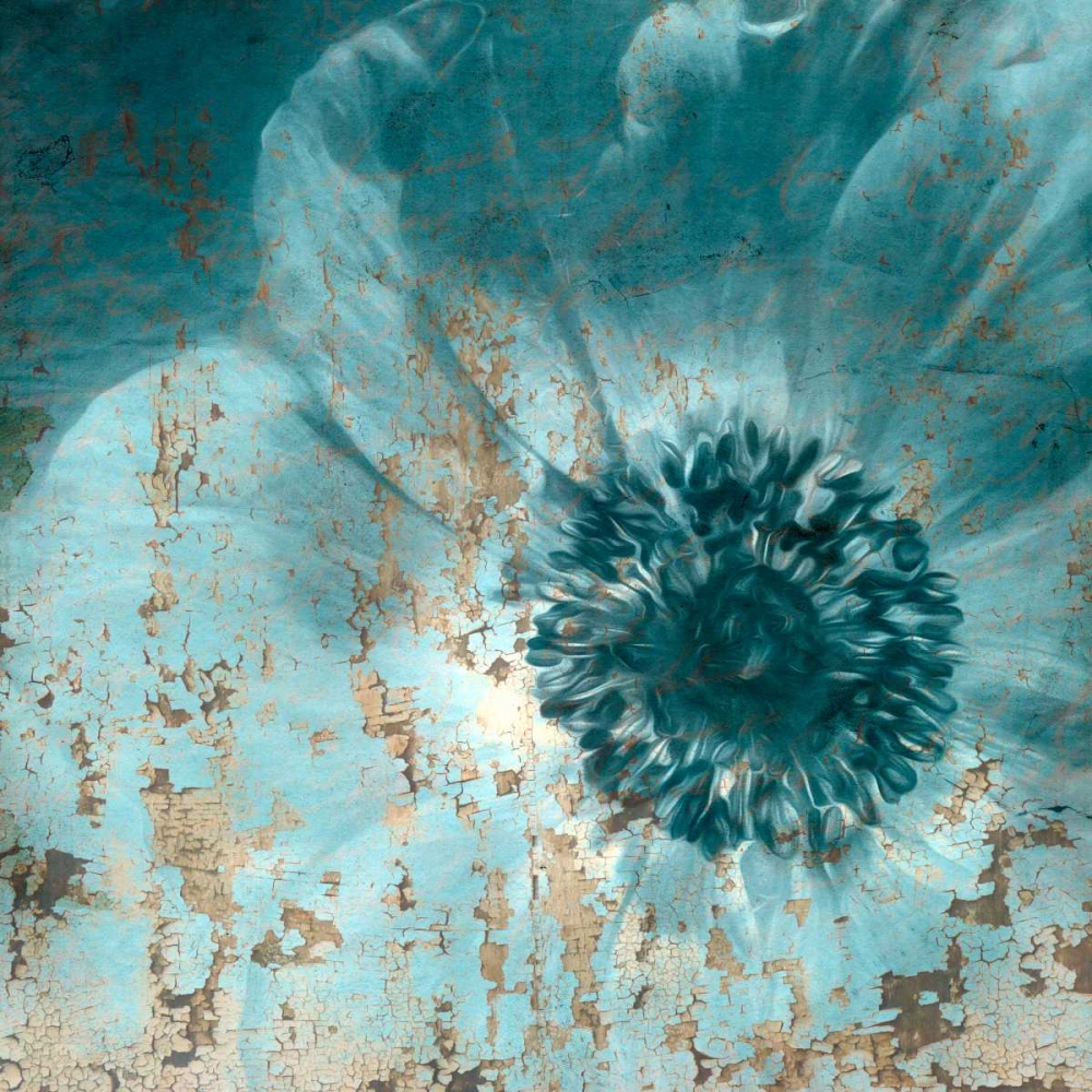 Seaside Bloom art print by Kimberly Allen for $57.95 CAD