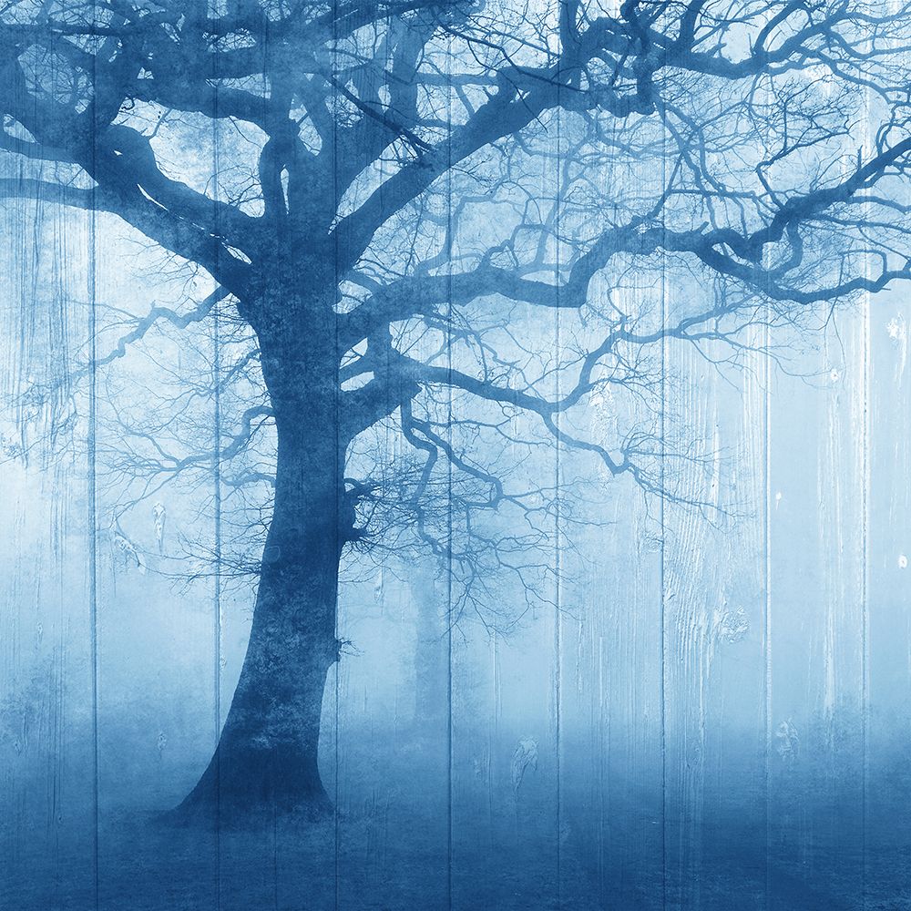 In The Mist V2 art print by Kimberly Allen for $57.95 CAD