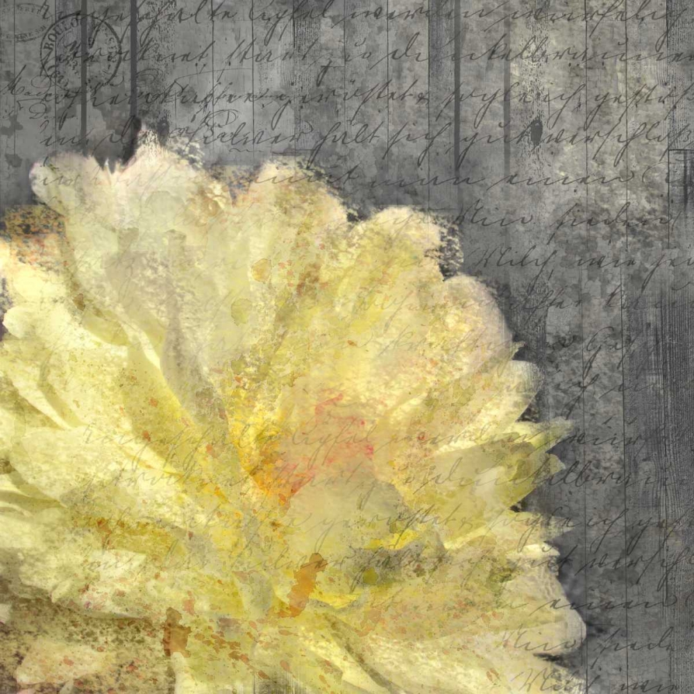 In Nature Yellow art print by Kimberly Allen for $57.95 CAD