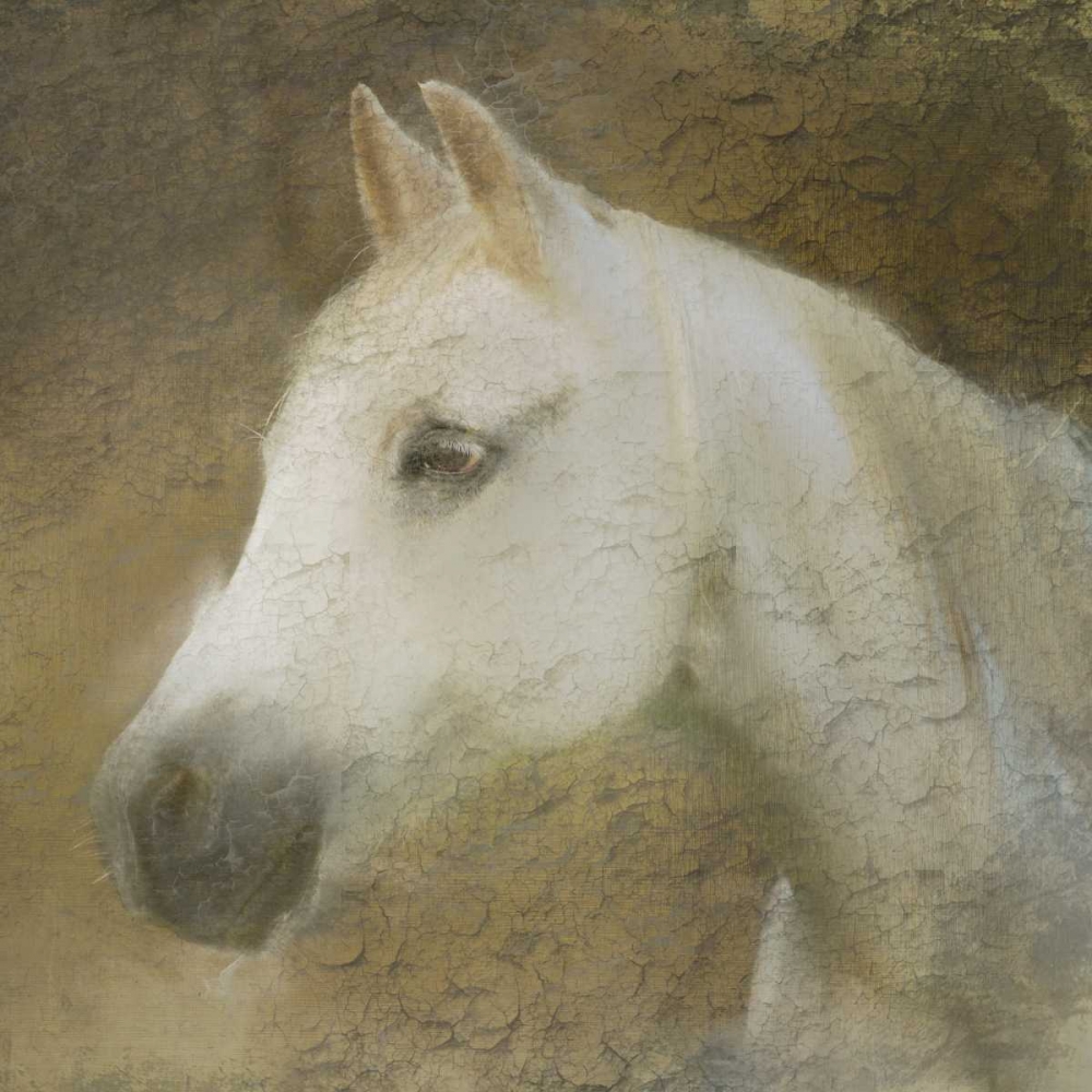 Graceful Horse art print by Kimberly Allen for $57.95 CAD