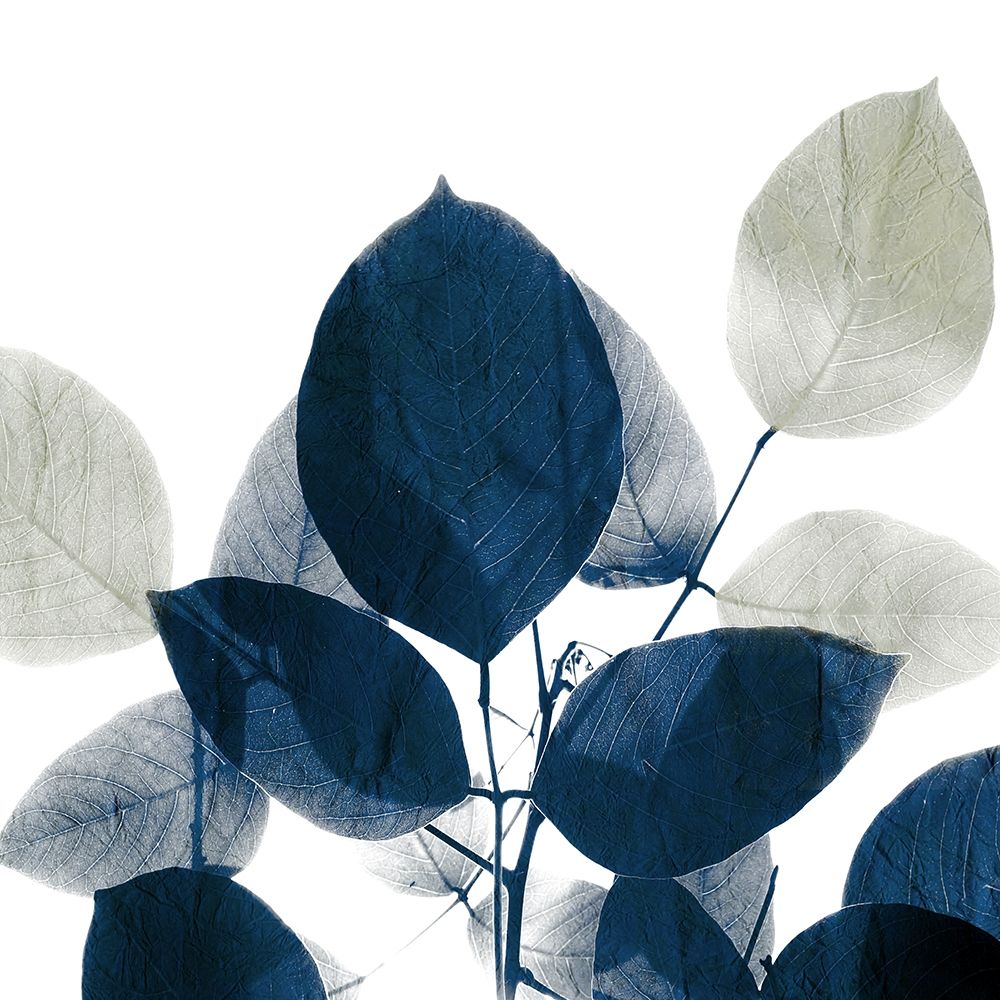 Midnight Leaves 1 art print by Kimberly Allen for $57.95 CAD