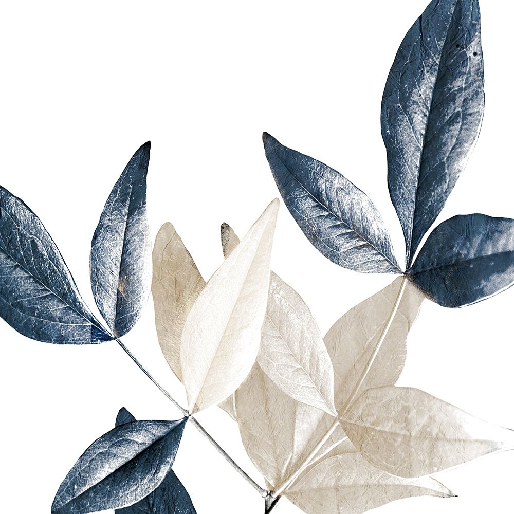 Midnight Leaves 2 art print by Kimberly Allen for $57.95 CAD