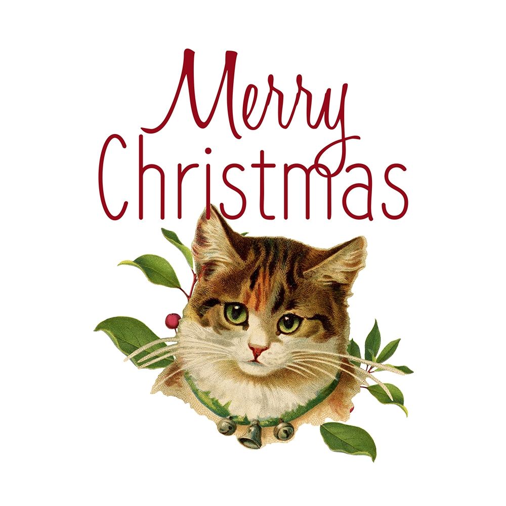 Cat Christmas 4 art print by Kimberly Allen for $57.95 CAD