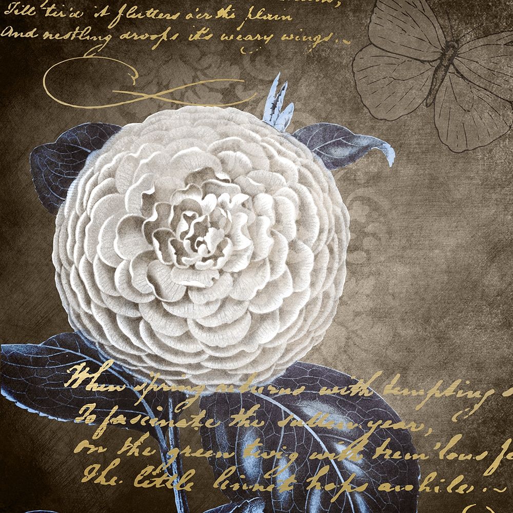 White Bloom Navy 1 art print by Kimberly Allen for $57.95 CAD