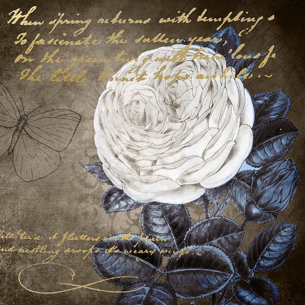 White Bloom Navy 2 art print by Kimberly Allen for $57.95 CAD