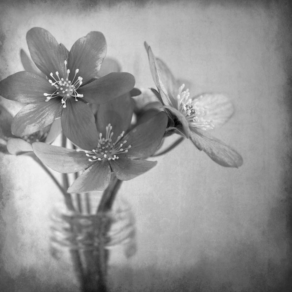 Blooms 2 art print by Kimberly Allen for $57.95 CAD