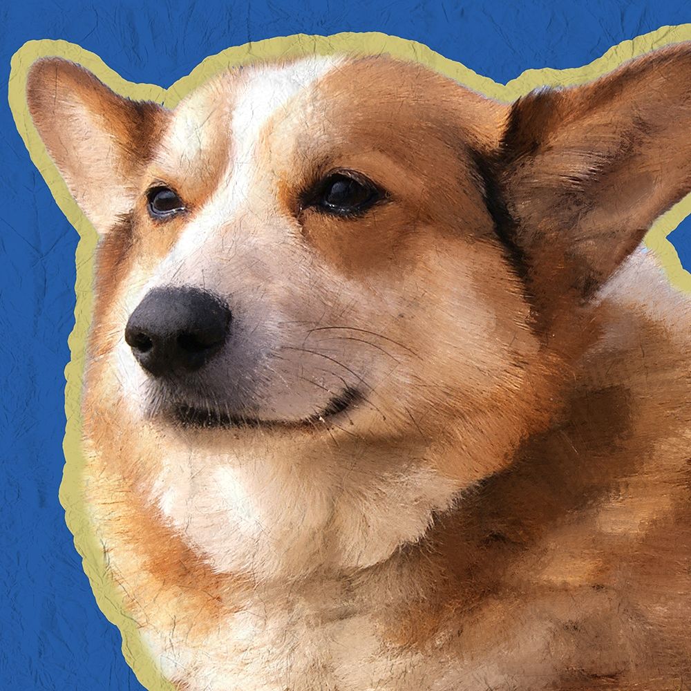 Corgi 2 art print by Kimberly Allen for $57.95 CAD