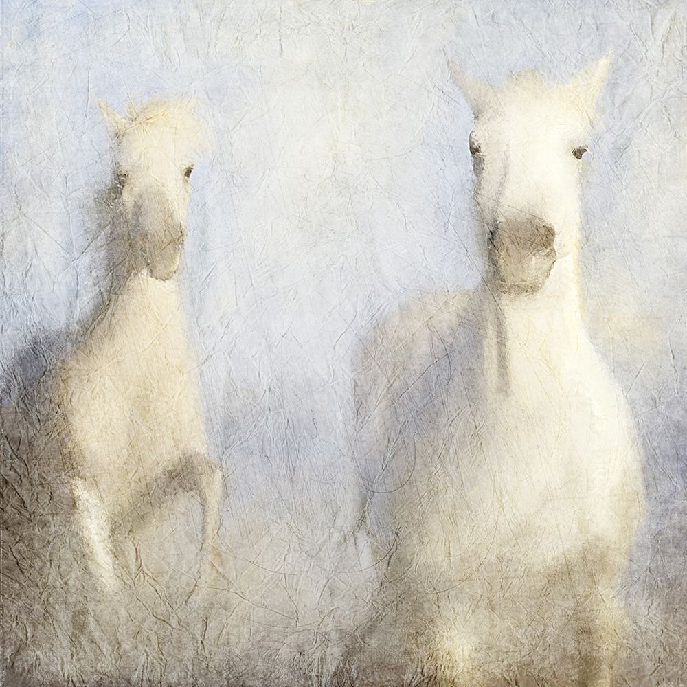White Wild art print by Kimberly Allen for $57.95 CAD