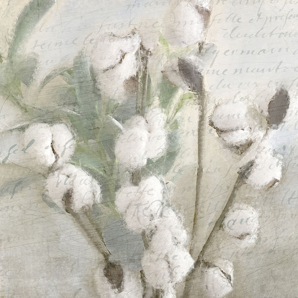 Soft Cotton 1 art print by Kimberly Allen for $57.95 CAD
