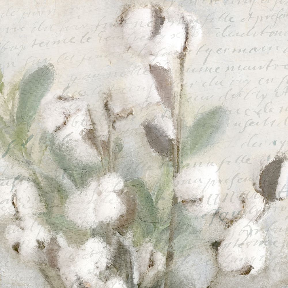 Soft Cotton 2 art print by Kimberly Allen for $57.95 CAD