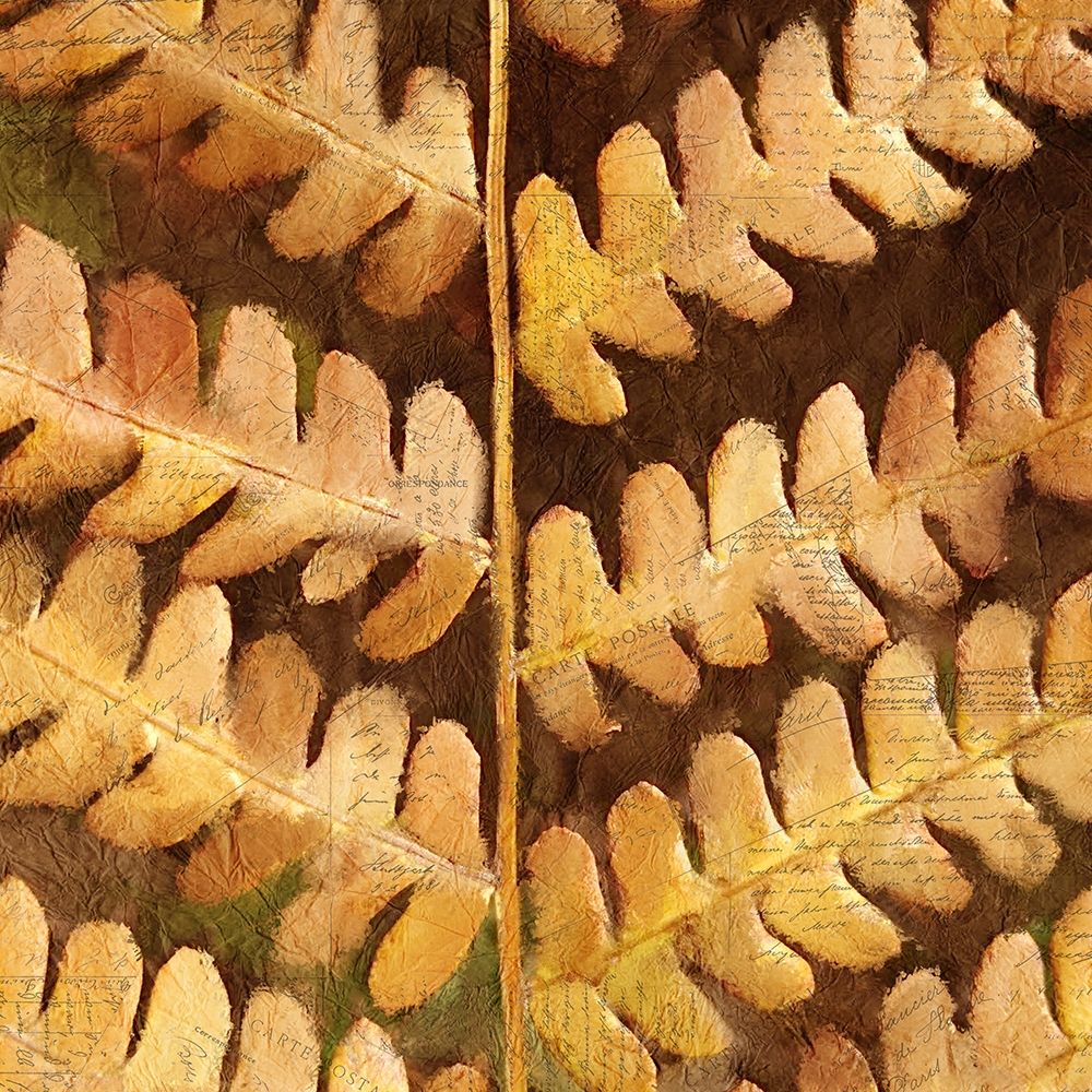 Autumn Leaves 1 art print by Kimberly Allen for $57.95 CAD