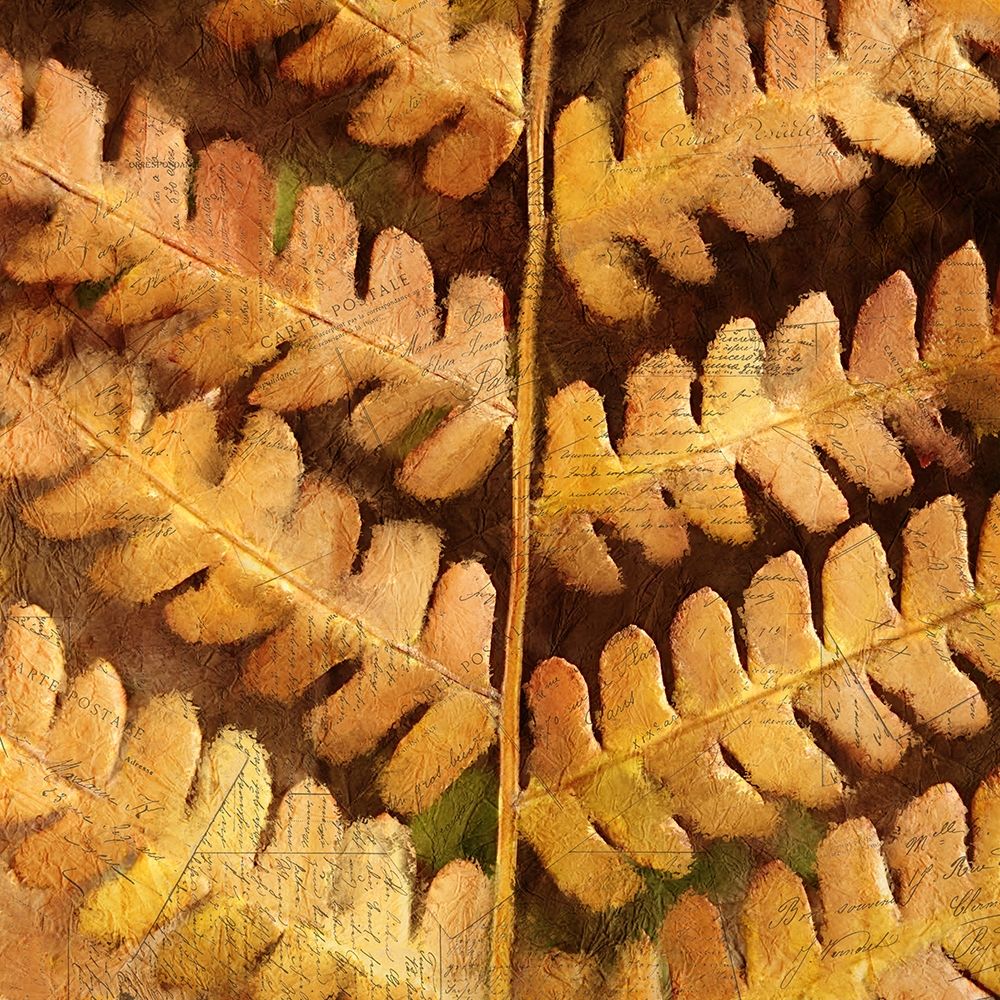 Autumn Leaves 2 art print by Kimberly Allen for $57.95 CAD