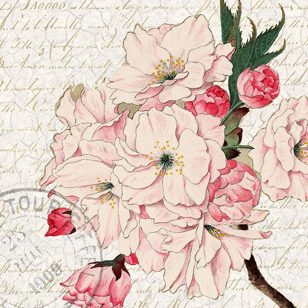 Cherry Blossom 2 art print by Kimberly Allen for $57.95 CAD