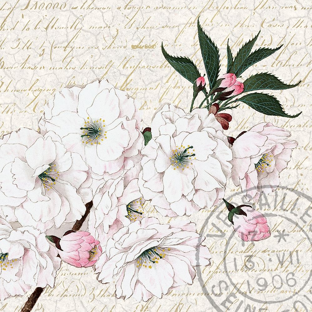 Cherry Blossom 3 art print by Kimberly Allen for $57.95 CAD