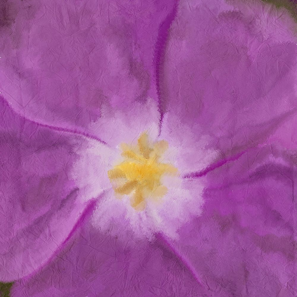 Purple Bloom 2 art print by Kimberly Allen for $57.95 CAD