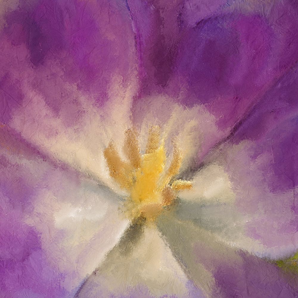 Purple Bloom art print by Kimberly Allen for $57.95 CAD
