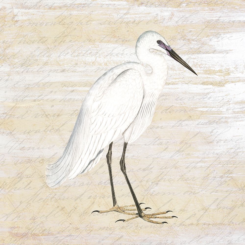 Shore Birds 1 art print by Kimberly Allen for $57.95 CAD