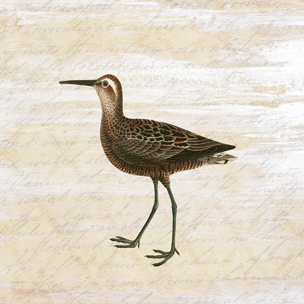 Shore Birds 2 art print by Kimberly Allen for $57.95 CAD