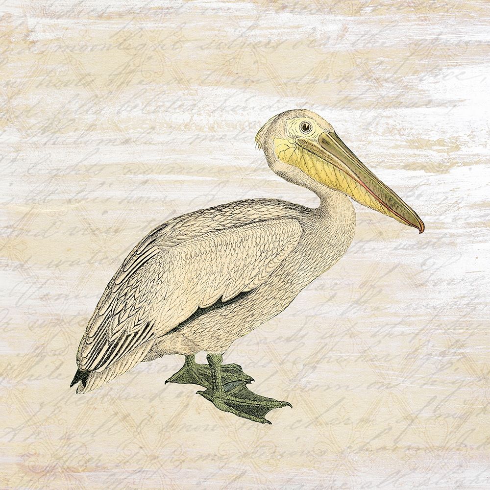 Shore Birds 3 art print by Kimberly Allen for $57.95 CAD
