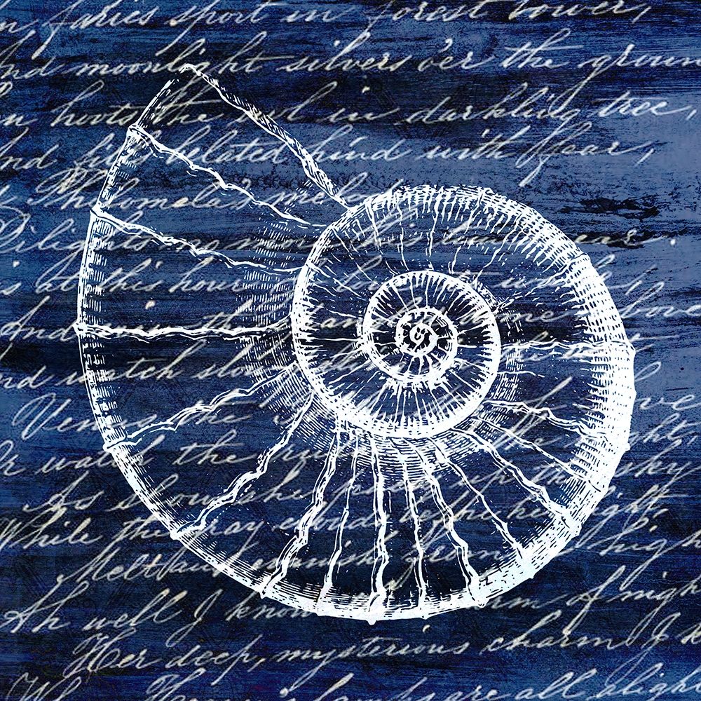 Indigo Shell 1 art print by Kimberly Allen for $57.95 CAD