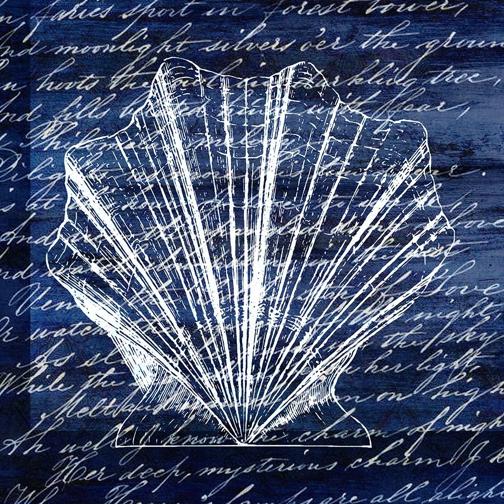 Indigo Shell 2 art print by Kimberly Allen for $57.95 CAD