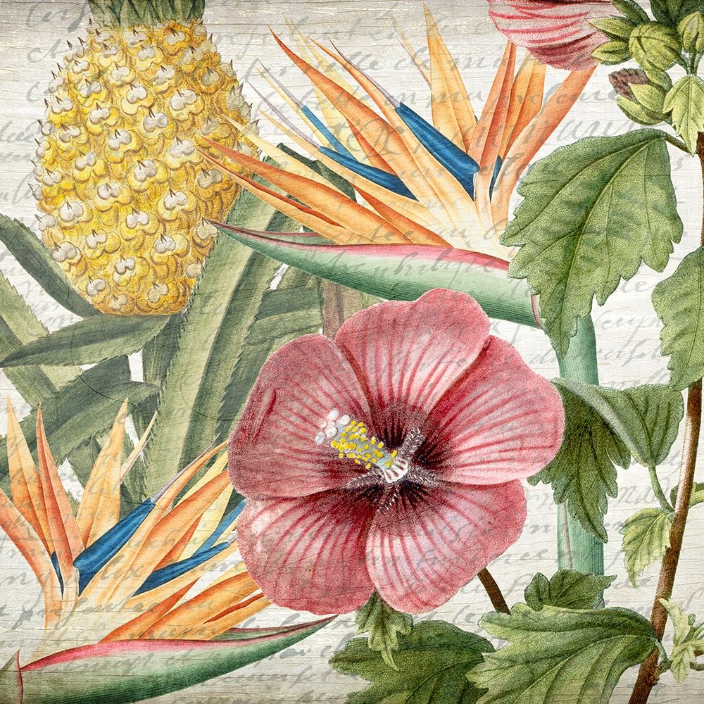My Tropics 1 art print by Kimberly Allen for $57.95 CAD