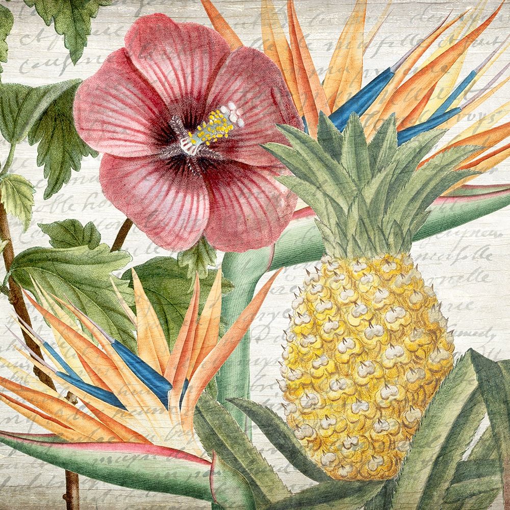 My Tropics 2 art print by Kimberly Allen for $57.95 CAD