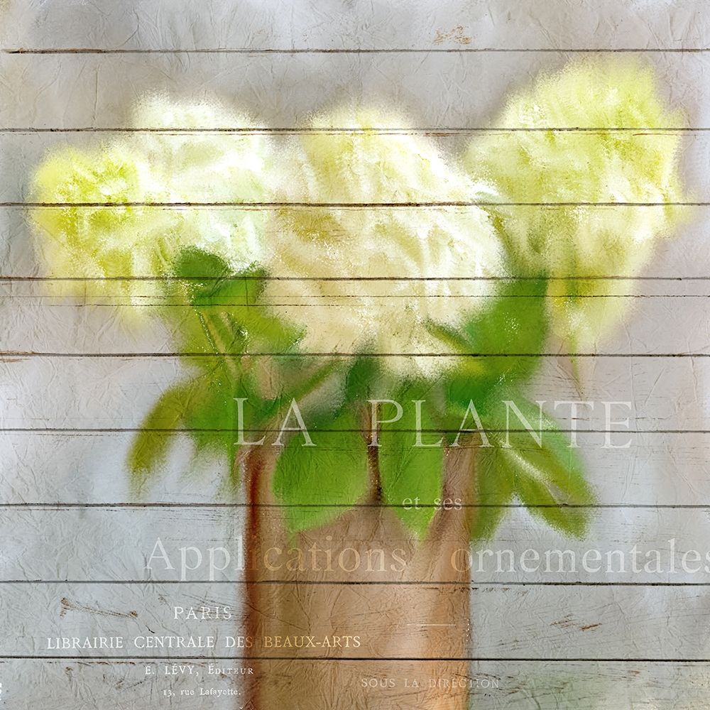 Hydrangeas in Copper art print by Kimberly Allen for $57.95 CAD