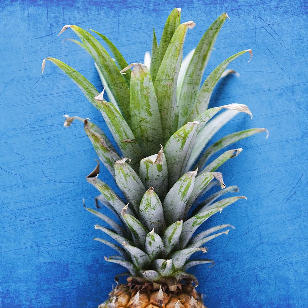 Pineapple Blue 1 art print by Kimberly Allen for $57.95 CAD