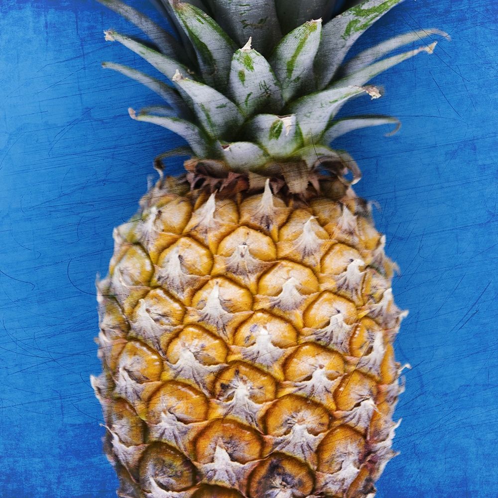 Pineapple Blue 2 art print by Kimberly Allen for $57.95 CAD