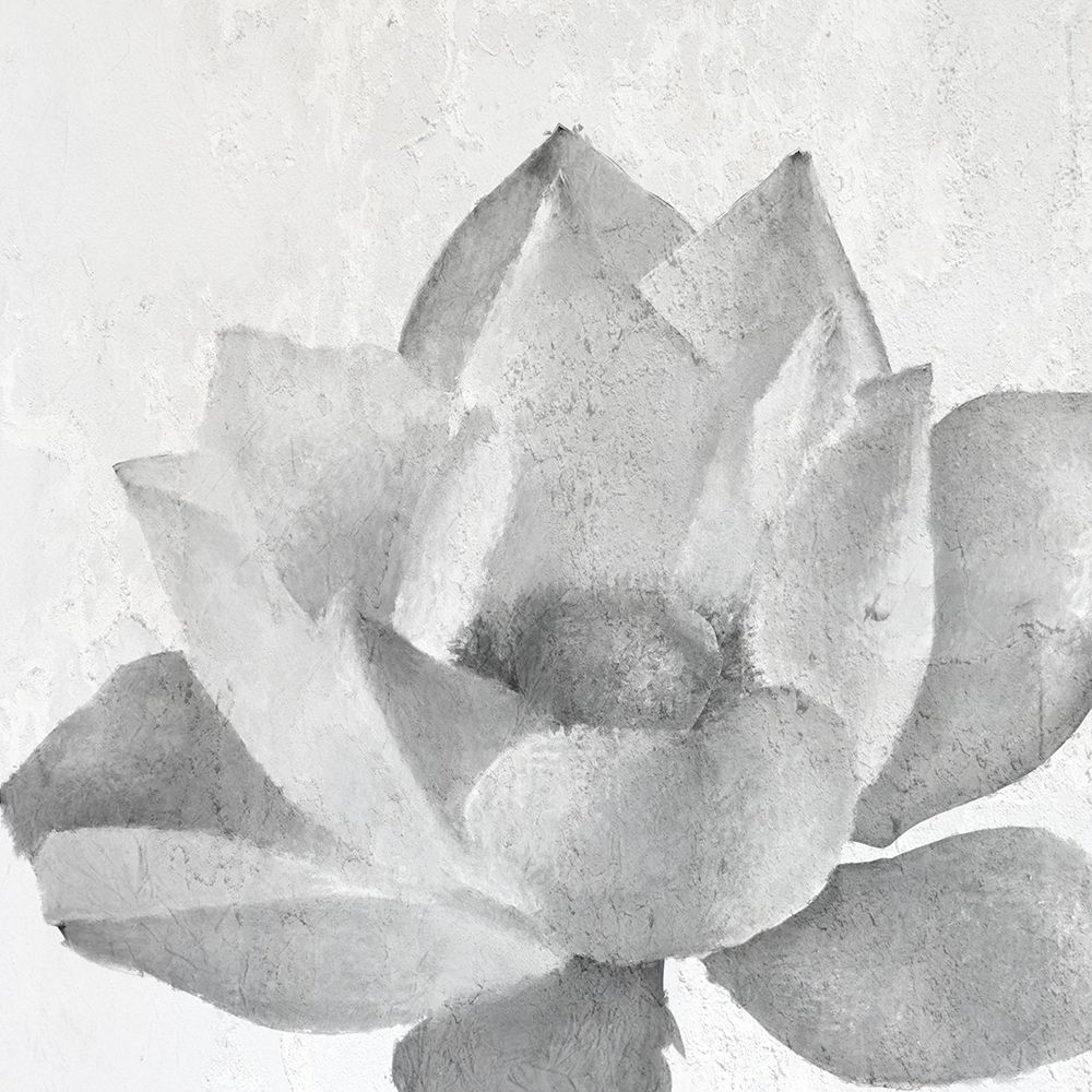 Lotus 3 art print by Kimberly Allen for $57.95 CAD