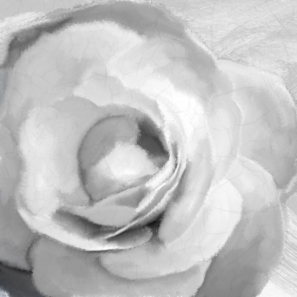 Up Close 1 art print by Kimberly Allen for $57.95 CAD