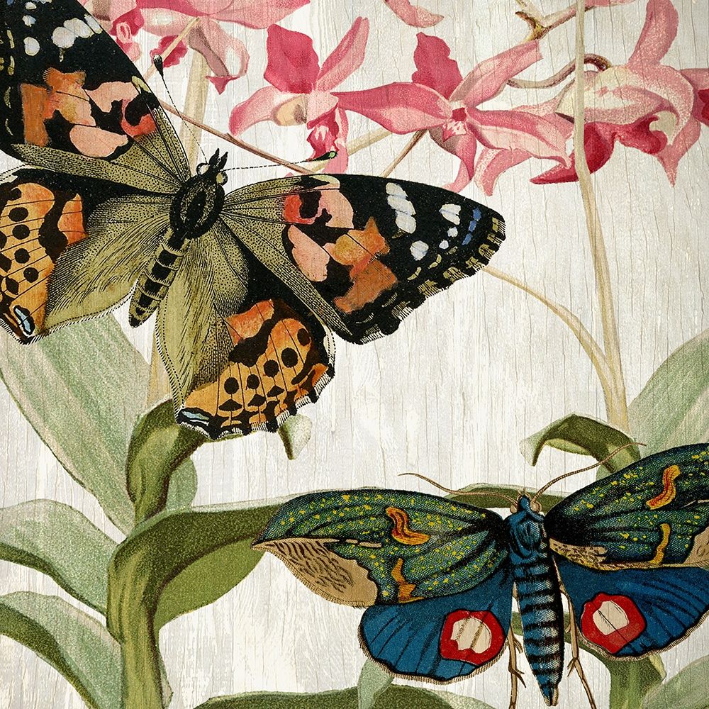 Butterfly World 1 art print by Kimberly Allen for $57.95 CAD