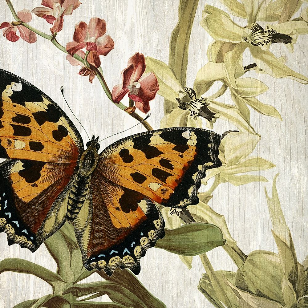 Butterfly World 2 art print by Kimberly Allen for $57.95 CAD