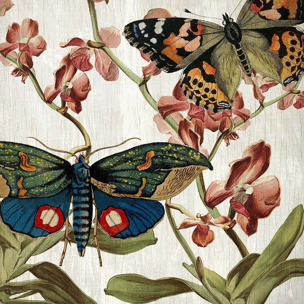 Butterfly World 3 art print by Kimberly Allen for $57.95 CAD