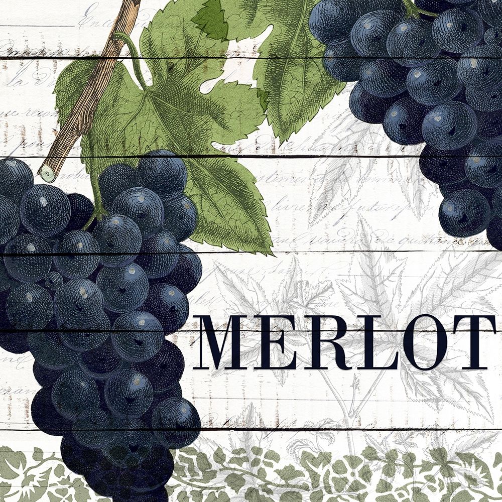 On The Vine 1 art print by Kimberly Allen for $57.95 CAD