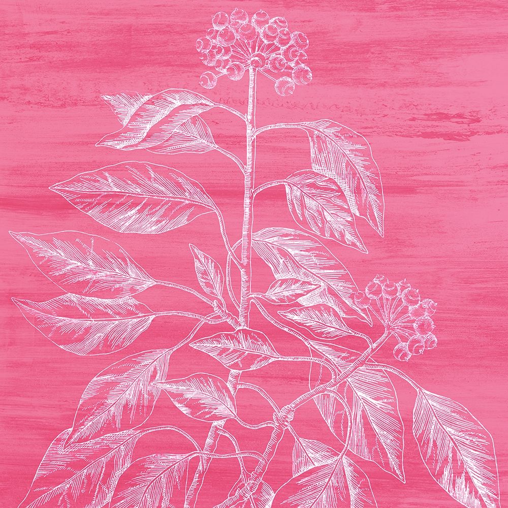 Botanical Bright 1 art print by Kimberly Allen for $57.95 CAD