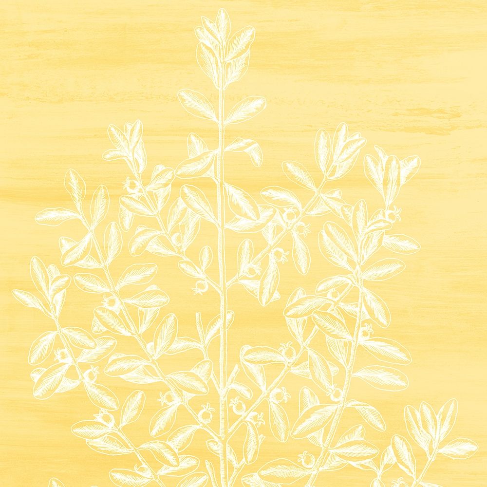 Botanical Bright 2 art print by Kimberly Allen for $57.95 CAD