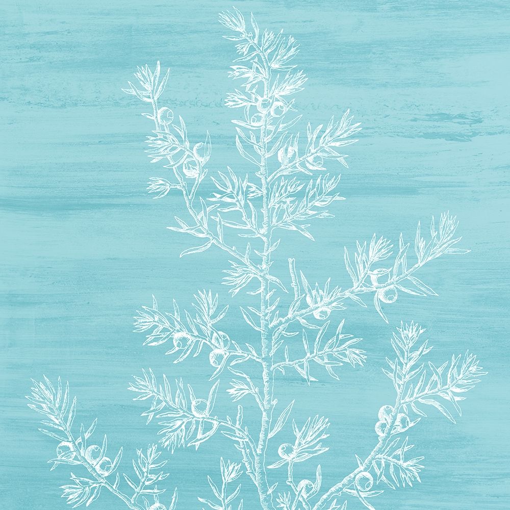 Botanical Bright 3 art print by Kimberly Allen for $57.95 CAD