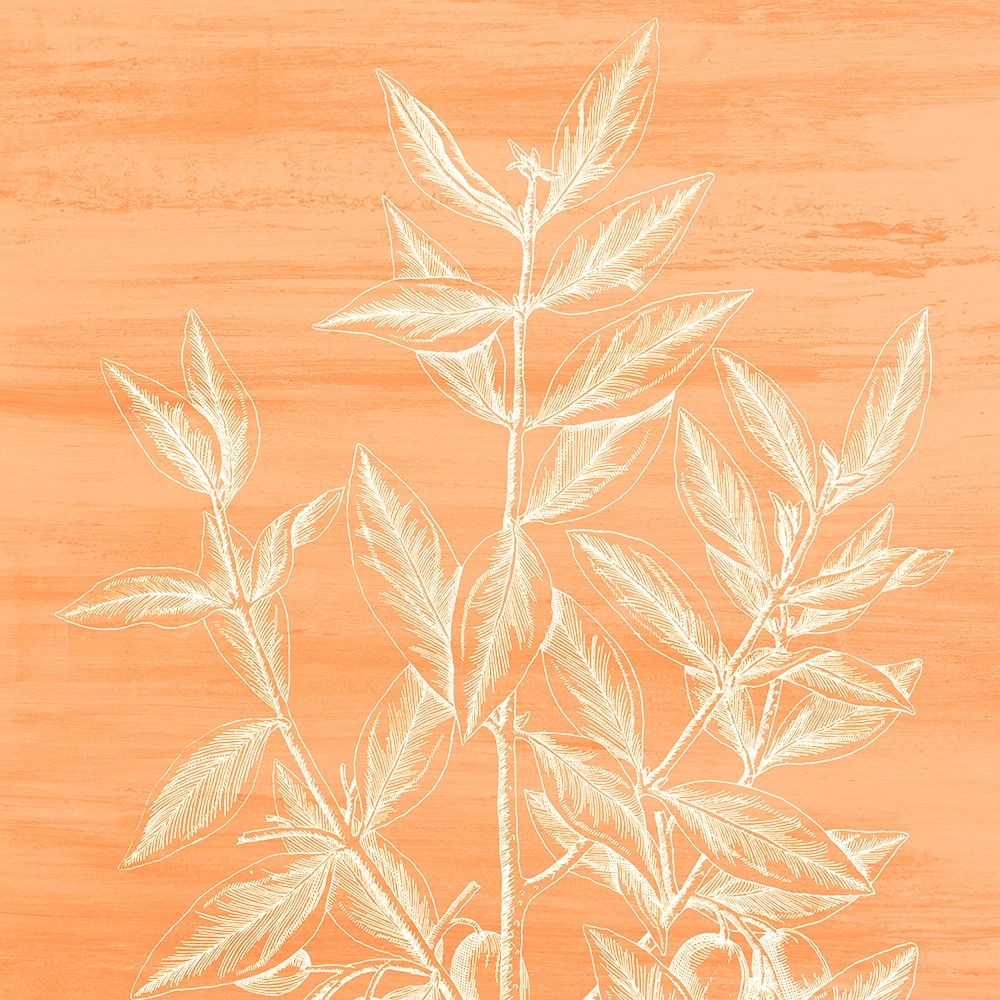 Botanical Bright 4 art print by Kimberly Allen for $57.95 CAD