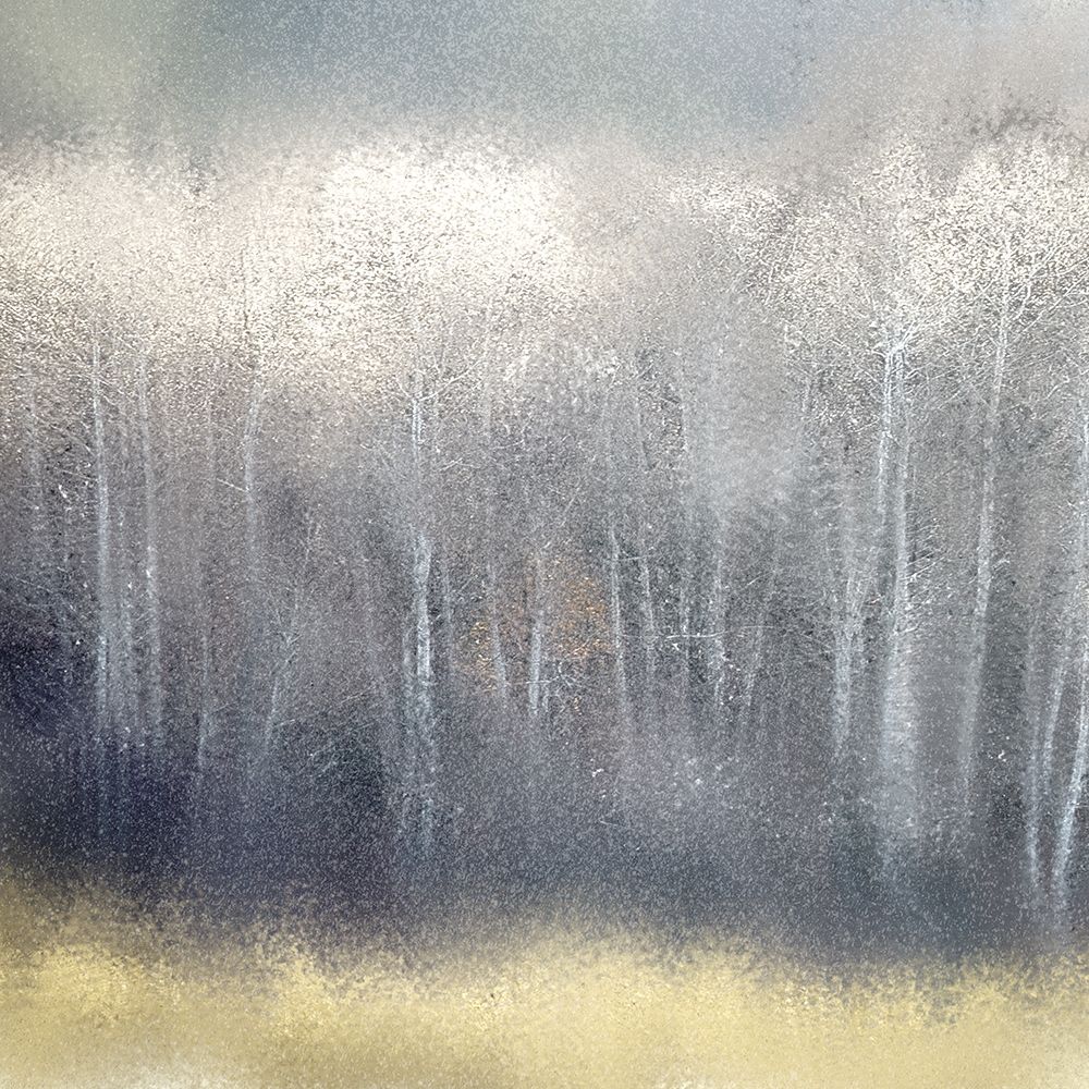 Silver Forest art print by Kimberly Allen for $57.95 CAD